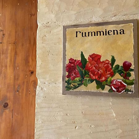 Botanica B&B Xagħra Екстериор снимка