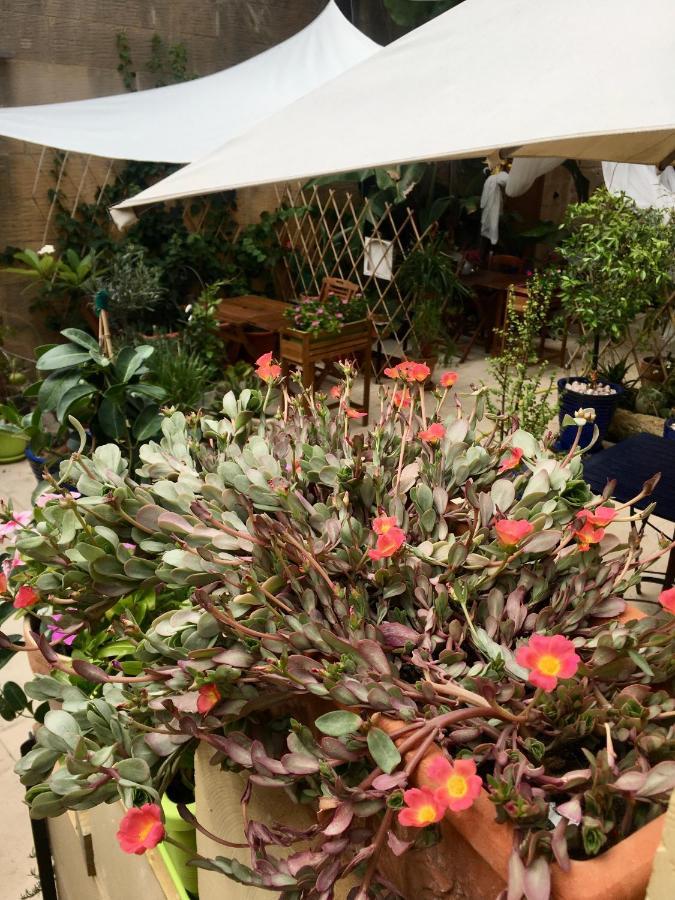 Botanica B&B Xagħra Екстериор снимка